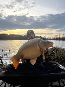 Leather Carp