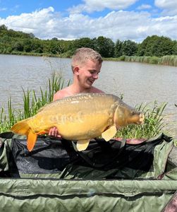 Mirror Carp