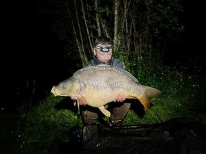 Mirror Carp