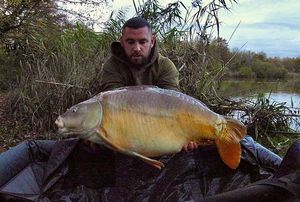 Mirror Carp