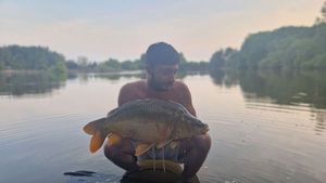 Mirror Carp