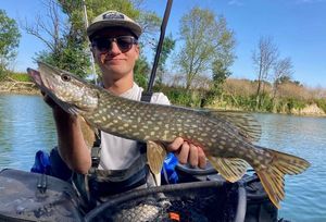 Northern Pike