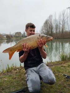 Common Carp