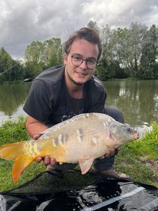 Mirror Carp