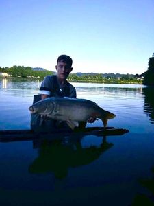 Mirror Carp