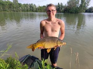 Mirror Carp