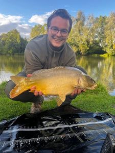 Mirror Carp
