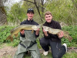 Northern Pike