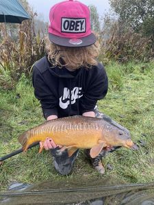 Mirror Carp