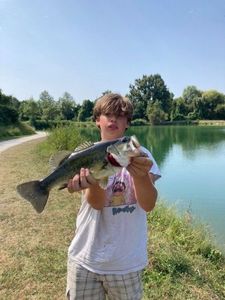Largemouth Bass