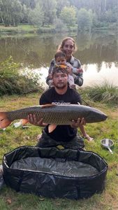 Grass Carp