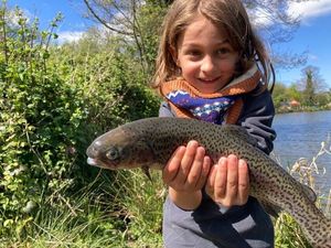 Rainbow Trout