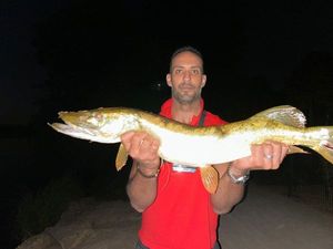 Northern Pike