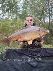 Mirror Carp