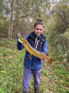 Northern Pike