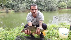 Common Carp