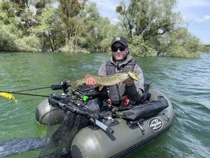 Northern Pike