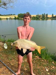 Koï Fish