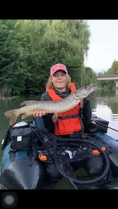 Northern Pike