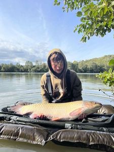 Grass Carp