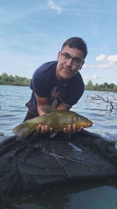 Tench