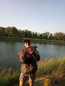 Zander
