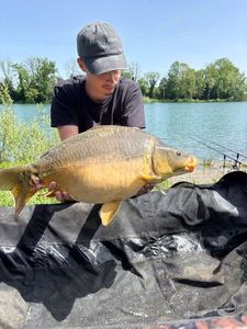 Leather Carp