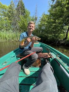 Mirror Carp