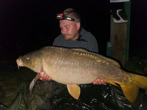 Mirror Carp