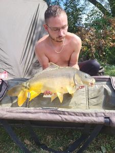 Mirror Carp