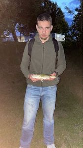 Largemouth Bass