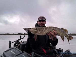 Northern Pike