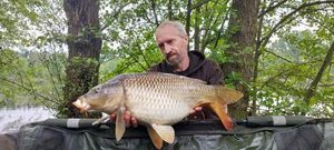 Common Carp