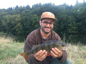 European Perch