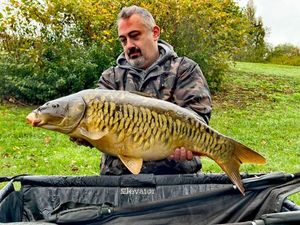 Mirror Carp