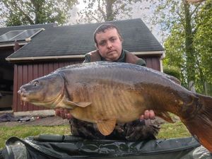 Mirror Carp