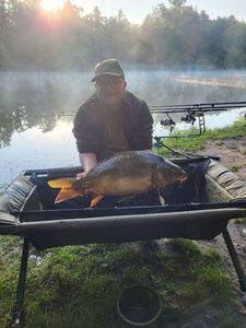 Mirror Carp