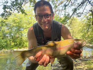 Rainbow Trout