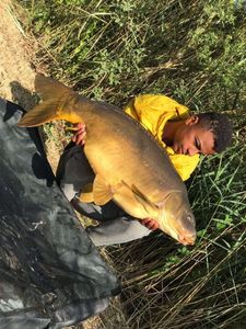 Mirror Carp