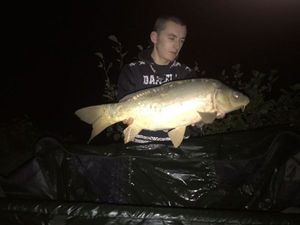Mirror Carp