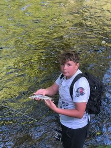 Brown Trout
