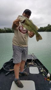 Largemouth Bass