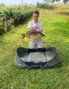 Mirror Carp