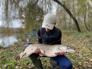 Northern Pike