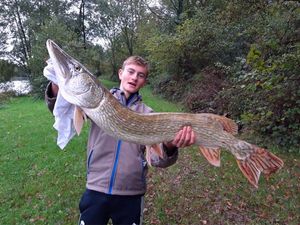 Northern Pike