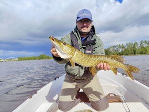 Northern Pike