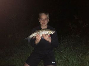 Chub