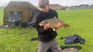 Common Carp
