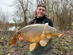 Mirror Carp