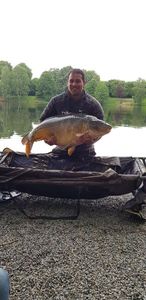 Mirror Carp